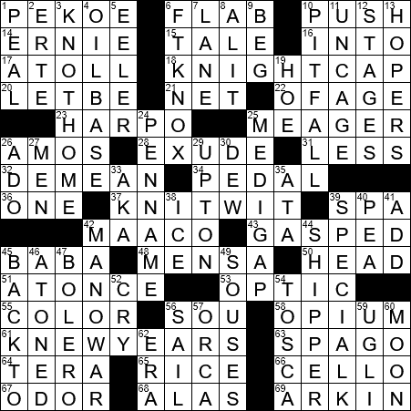 Thick Bundle Crossword Clue