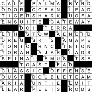 Pollux For One Crossword Clue Archives Laxcrossword Com
